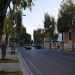 Continuiamo a passeggiare sull'alberata viale Orazio Flacco, stretti sulla destra dal muro perimetrale del Policlinico